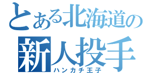 とある北海道の新人投手（ハンカチ王子）