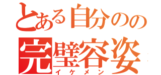 とある自分のの完璧容姿（イケメン）