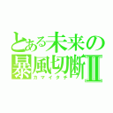 とある未来の暴風切断Ⅱ（カマイタチ）