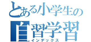 とある小学生の自習学習（インデックス）