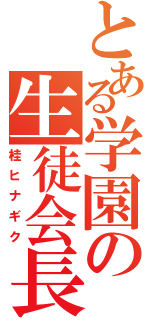 とある学園の生徒会長（桂ヒナギク）