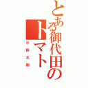 とある御代田のトマト（小林大和）