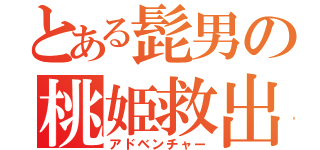 とある髭男の桃姫救出（アドベンチャー）