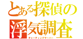 とある探偵の浮気調査（チャーティングサーバー）