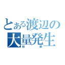 とある渡辺の大量発生（妊娠）