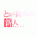 とある新潟の新人（ＮＧＴ４８）