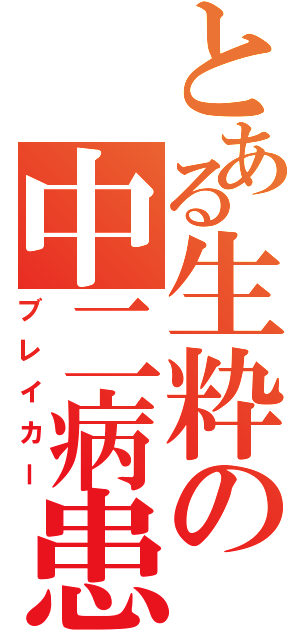 とある生粋の中二病患者（ブレイカー）