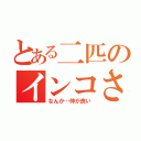 とある二匹のインコさん（なんか…仲が良い）