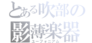 とある吹部の影薄楽器（ユーフォニアム）