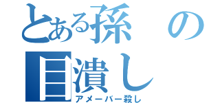 とある孫の目潰し（アメーバー殺し）