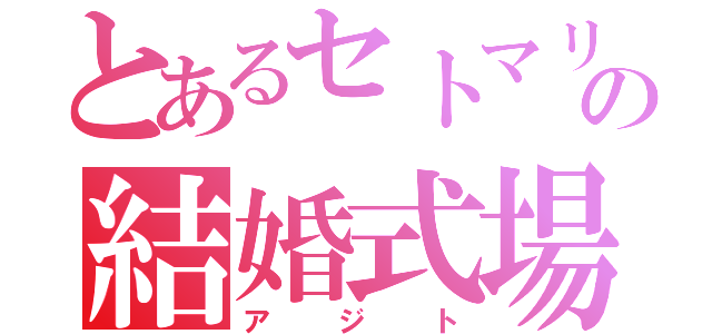 とあるセトマリの結婚式場（アジト）