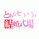 とあるセトマリの結婚式場（アジト）