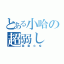 とある小哈の超弱し（我是小哈）