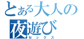 とある大人の夜遊び（セックス）