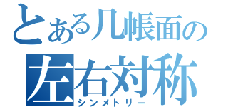 とある几帳面の左右対称（シンメトリー）