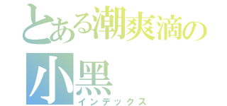 とある潮爽滴の小黑（インデックス）