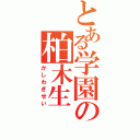 とある学園の柏木生（かしわぎせい）