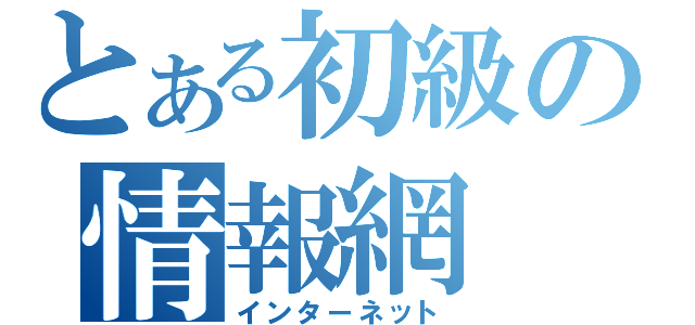 とある初級の情報網（インターネット）