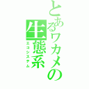 とあるワカメの生態系（エコシステム）