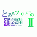 とあるプリメラの池袋猫Ⅱ（遊馬崎ウォーカー）