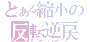 とある縮小の反転逆戻（リバースミラー）