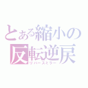 とある縮小の反転逆戻（リバースミラー）