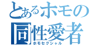 とあるホモの同性愛者（ホモセクシャル）