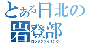 とある日北の岩登部（ロッククライミング）