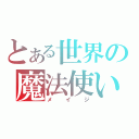 とある世界の魔法使い（メイジ）