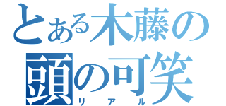 とある木藤の頭の可笑しな（リアル）