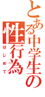 とある中学生の性行為（はじめて）