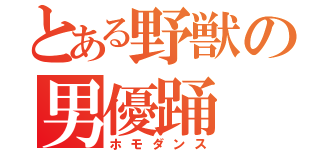 とある野獣の男優踊（ホモダンス）