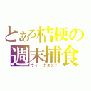 とある桔梗の週末捕食（ウィークエンド）