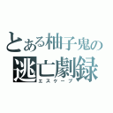 とある柚子鬼の逃亡劇録（エスケープ）