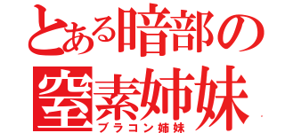 とある暗部の窒素姉妹（ブラコン姉妹）