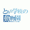 とある学校の動物園（学ばないもの達）