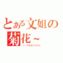 とある文姐の菊花~（－Ｗ－吾辈真的不是炮友）