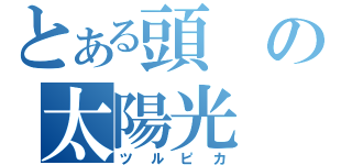 とある頭の太陽光（ツルピカ）