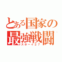 とある国家の最強戦闘機（スホーイ２７）