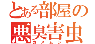 とある部屋の悪臭害虫（カメムシ）