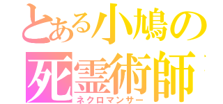 とある小鳩の死霊術師（ネクロマンサー）