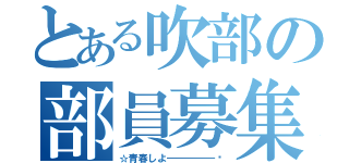 とある吹部の部員募集（☆青春しよ━━━━━‼）