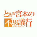 とある宮本の不思議行動（ワンダーアクション）