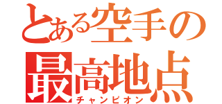 とある空手の最高地点（チャンピオン）