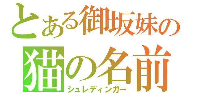 とある御坂妹の猫の名前（シュレディンガー）