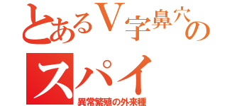 とあるＶ字鼻穴のスパイ（異常繁殖の外来種）