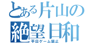 とある片山の絶望日和（平日ゲーム禁止）