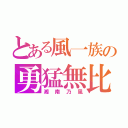 とある風一族の勇猛無比（湘南乃風）