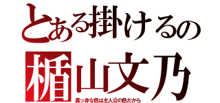 とある掛けるの楯山文乃（真っ赤な色は主人公の色だから）