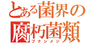 とある菌界の腐朽菌類（ブナシメジ）